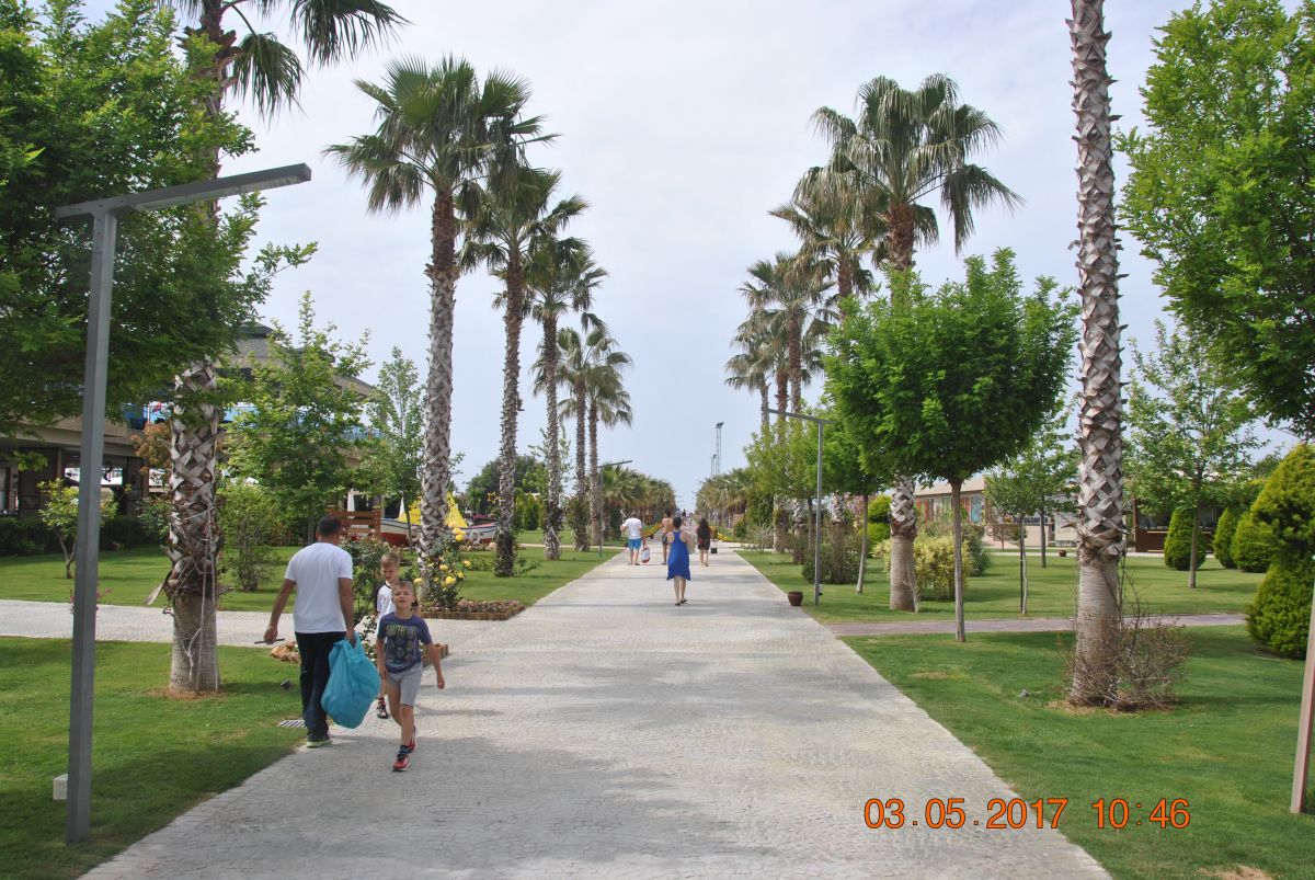 imagini hotel JACARANDA IMPERIAL SIDE